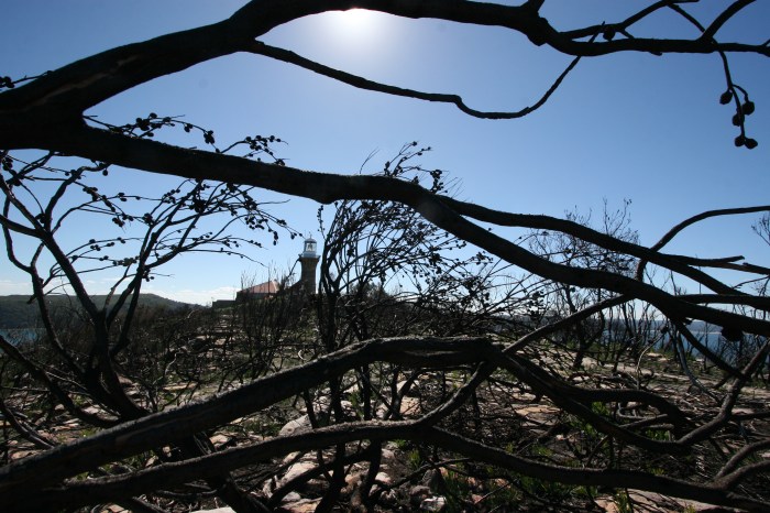 Photo by Sam Alexander